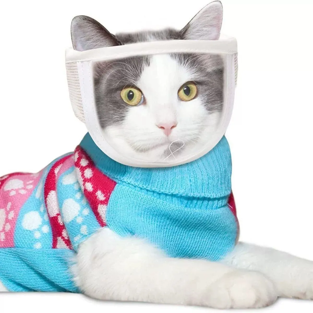 Cat Grooming Muzzle – Transparent Anti-Bite Face Mask, Breathable Protective Hood for Nail Trimming, Bathing & Vet Visits